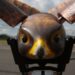 Robot Falcon Protects Airports