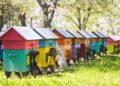 Solar-Powered Bee Hive Works
