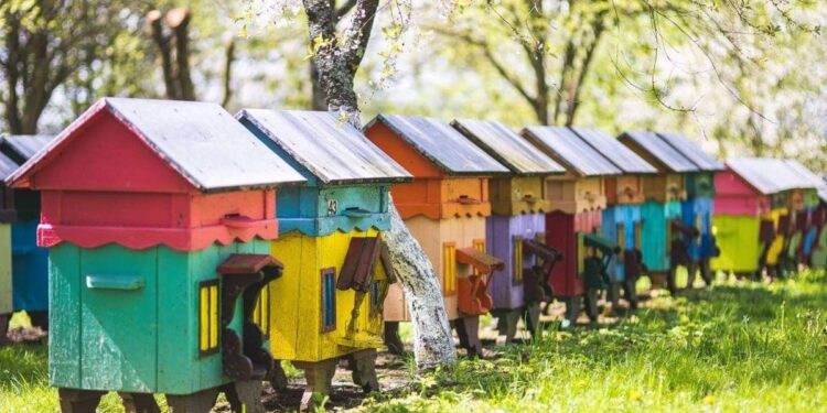 Solar-Powered Bee Hive Works