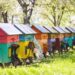 Solar-Powered Bee Hive Works