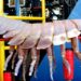 Deep-Sea Giant Isopod Filmed