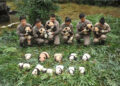 Panda Triplets Born In Captivity