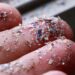 Microplastic Found In Eagle Blood